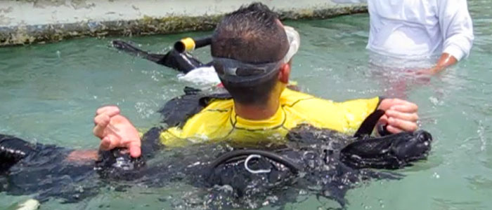 Scuba Diving in Cebu