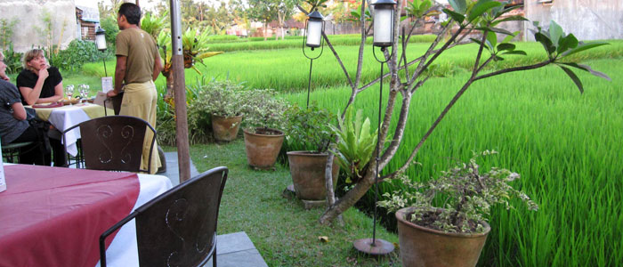Rice Paddy in Ubud