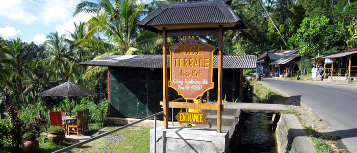 Rice Terrace Cafe in Tegallalang