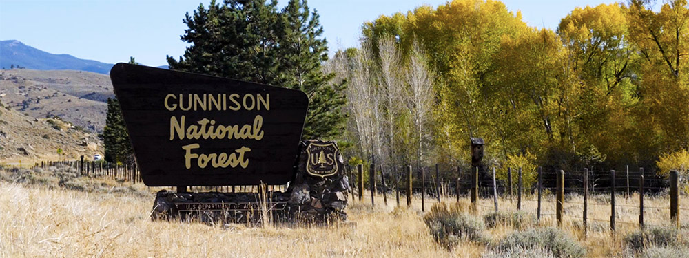 Gunnison National Forest sign